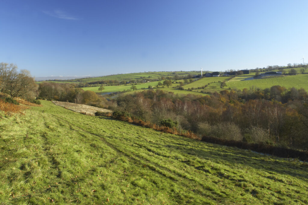 England, Cumbria, Parsons Park wood. A brief clearing offers good views of the surrounding landscape.