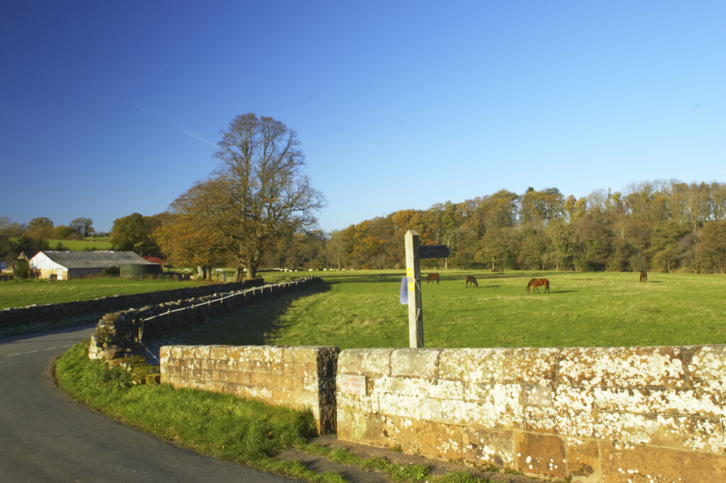 England, Cumbria, Cumbria Way Track. Country lane, fields and public footpath sign near Bell Bridge.