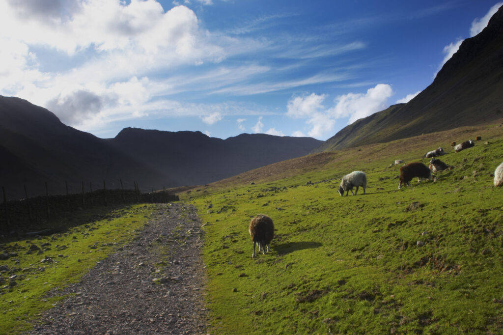 England, Cumbria, Lake District National Park. A fleeting shaft of light highlights the features of the Langdale mountains.