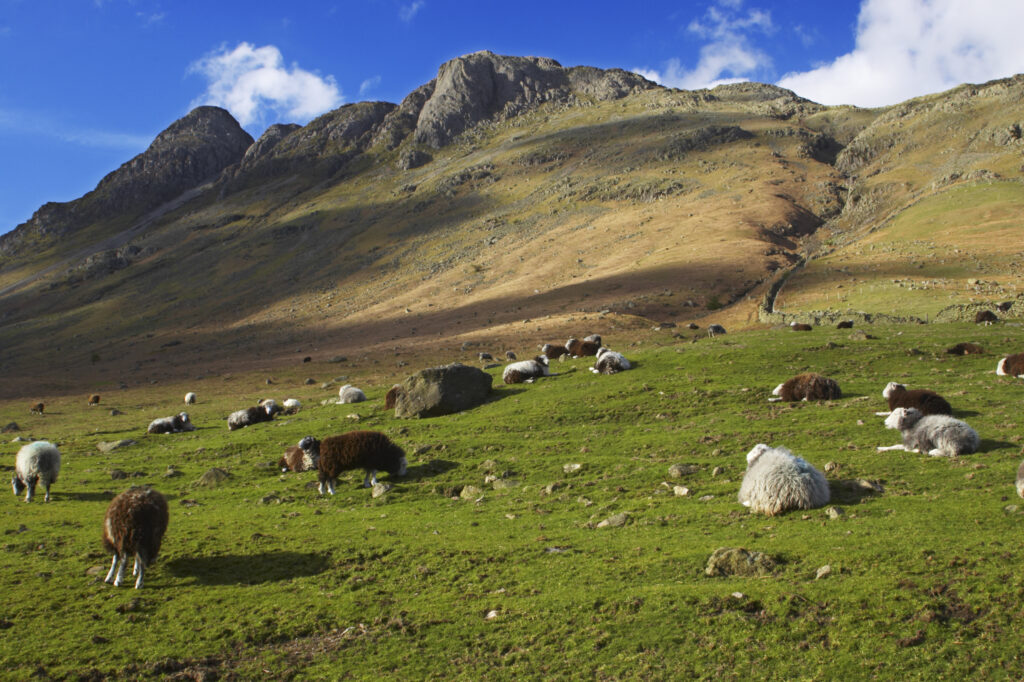 England, Cumbria, Lake District National Park. A fleeting shaft of light highlights the features of the Langdale mountains.