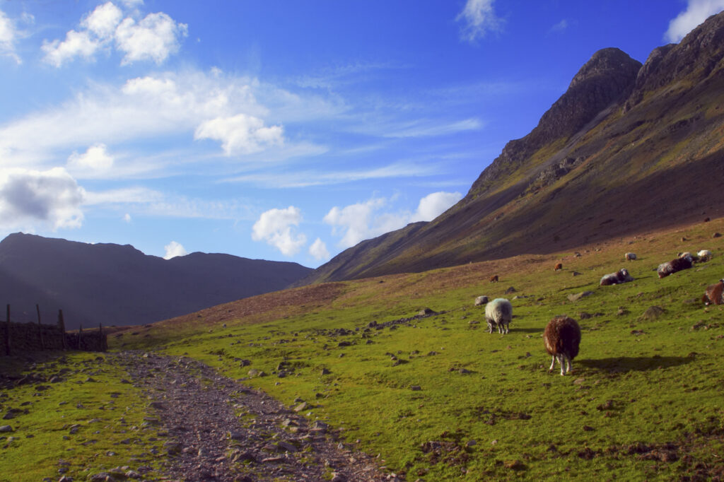 England, Cumbria, Lake District National Park. A fleeting shaft of light highlights the features of the Langdale mountains.