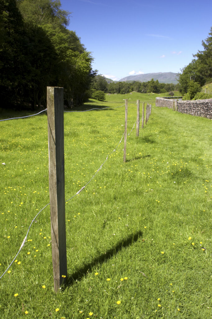 England, Cumbria, Lake District National Park. Wire fence running along a public path from High Oxen Fell to Skelwith Bridge