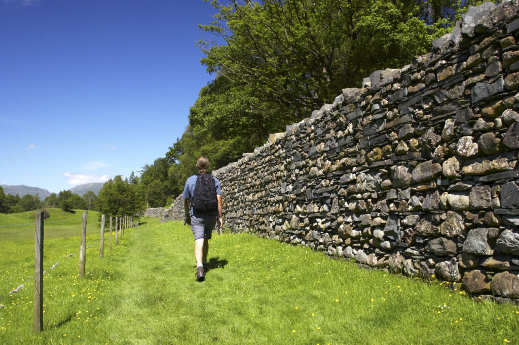 England, Cumbria, Lake District National Park. Hiker walking the Cumbria Way from High Oxen fell towards Skelwith Bridge.