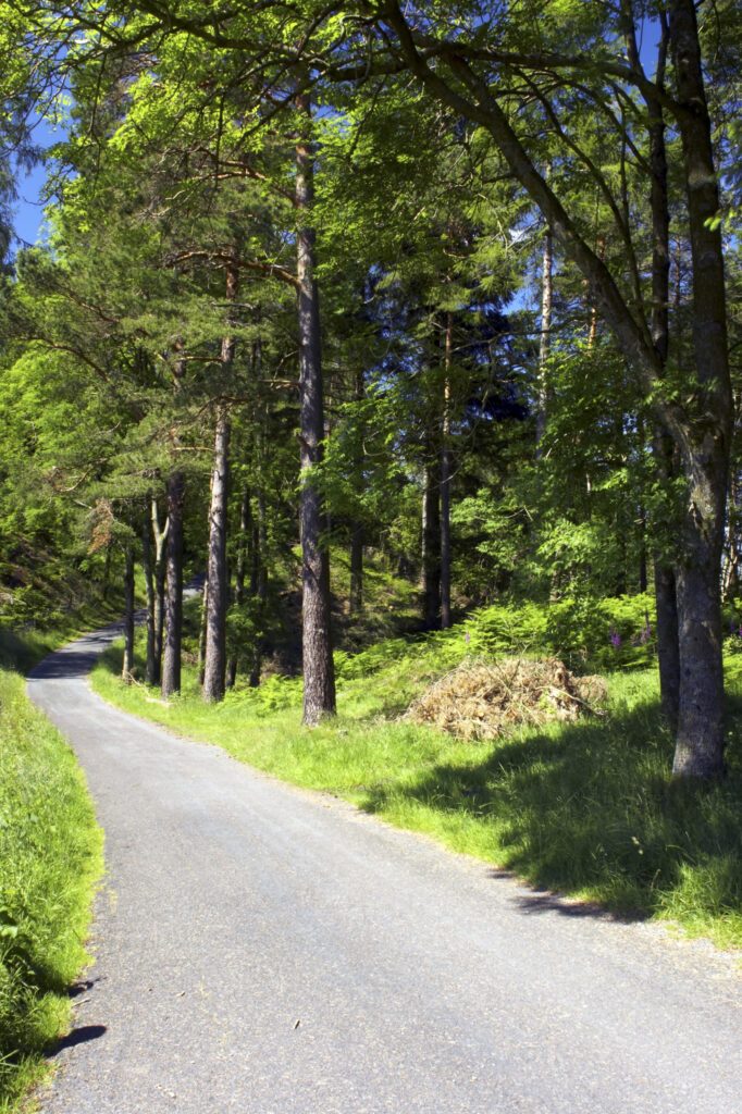 England, Cumbria, Lake District National Park. Quiet country lane near High Oxen Fell.