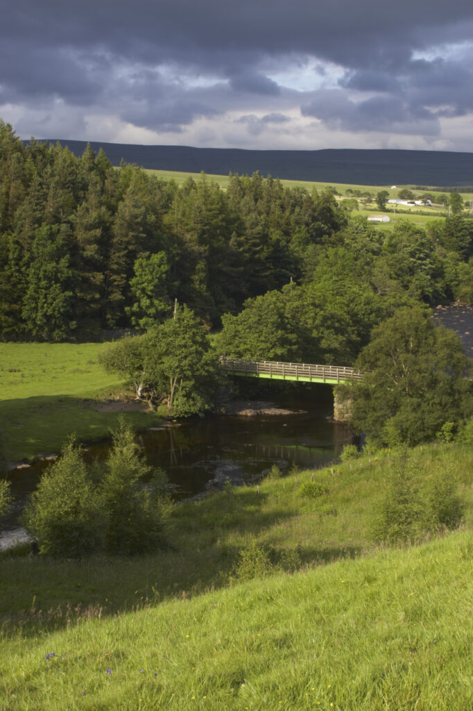 England, County Durham, River Tees. The River Tees and the north Pennines, downstream of the High Force falls in County Durham.