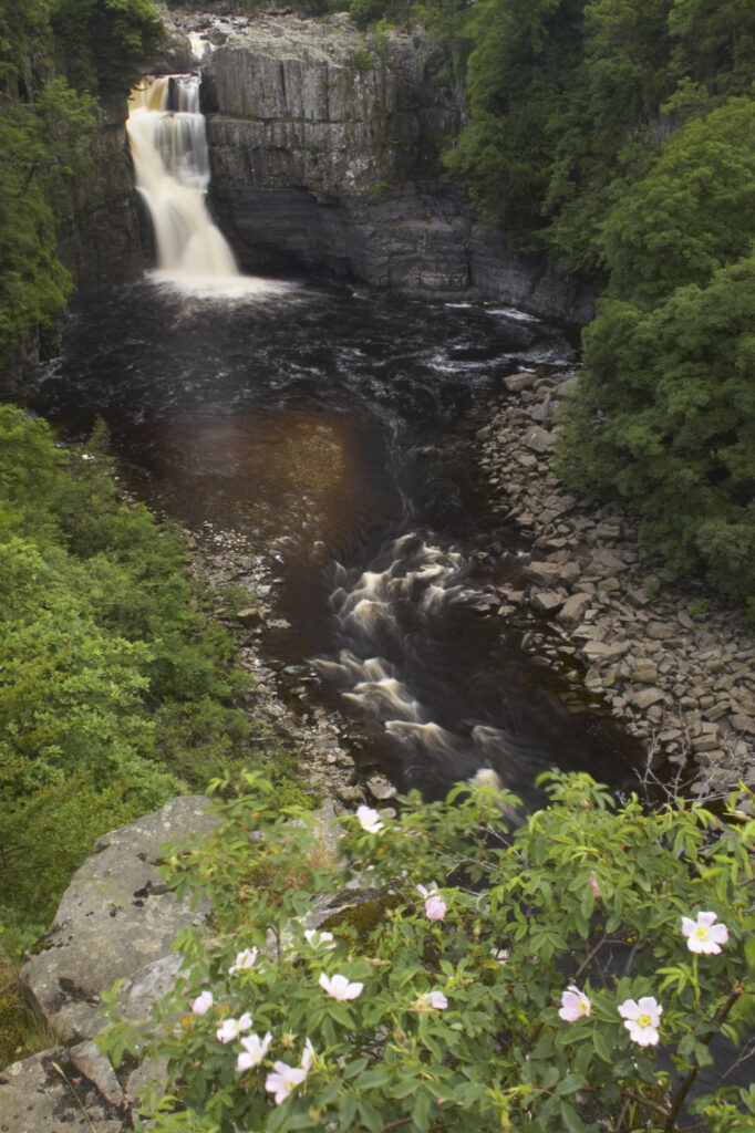 England, County Durham, High Force. The River Tees cascades down the High Force waterfall in County Durham.