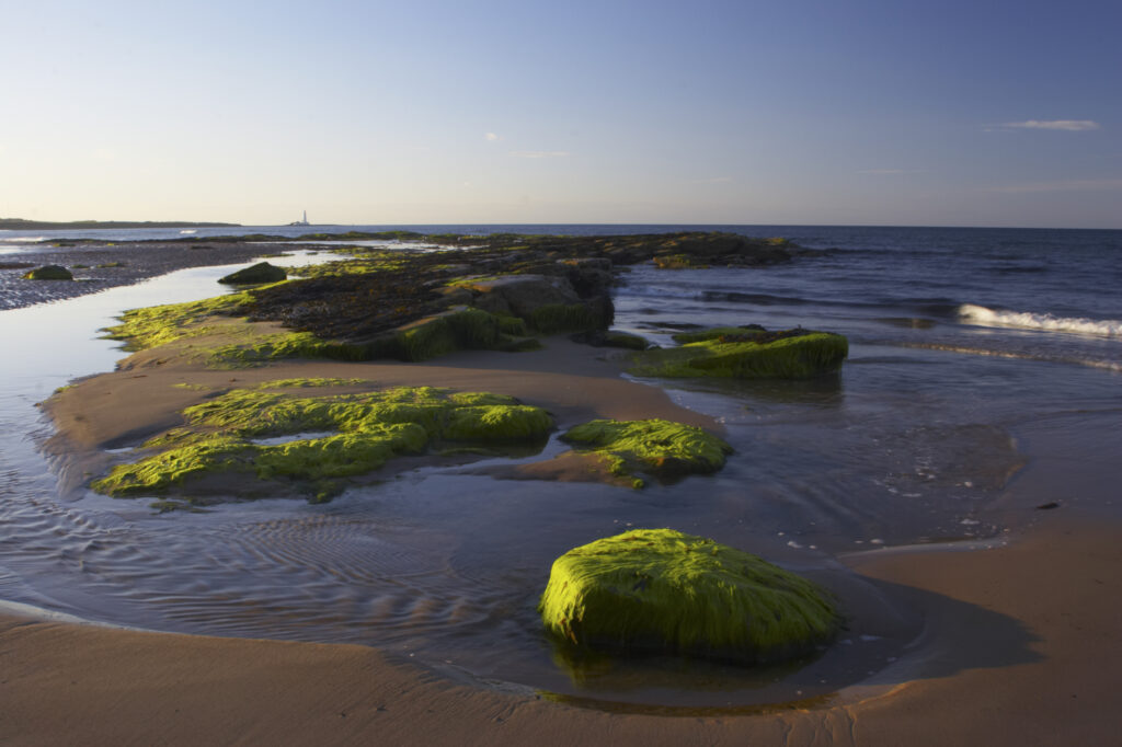 England Tyne and Wear, Whitley Bay. Rocks and tidal pools on the sands of the Whitley Bay sea front.