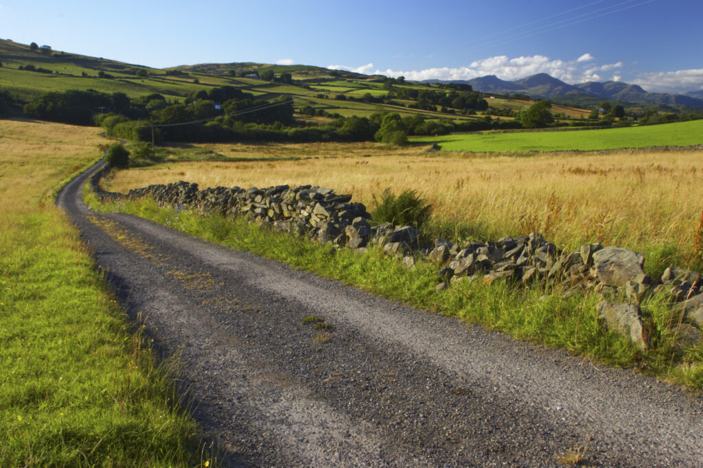 England, Cumbria, The Cumbria Way track. A stretch of the Cumbria Way track between Broughton Beck and Gawthwaite.