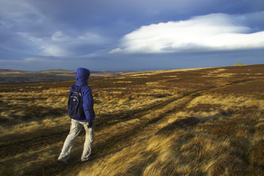 England, Northumberland, Northumberland National Park. Female hiker walking towards Carling Crags near the Harthope Valley.