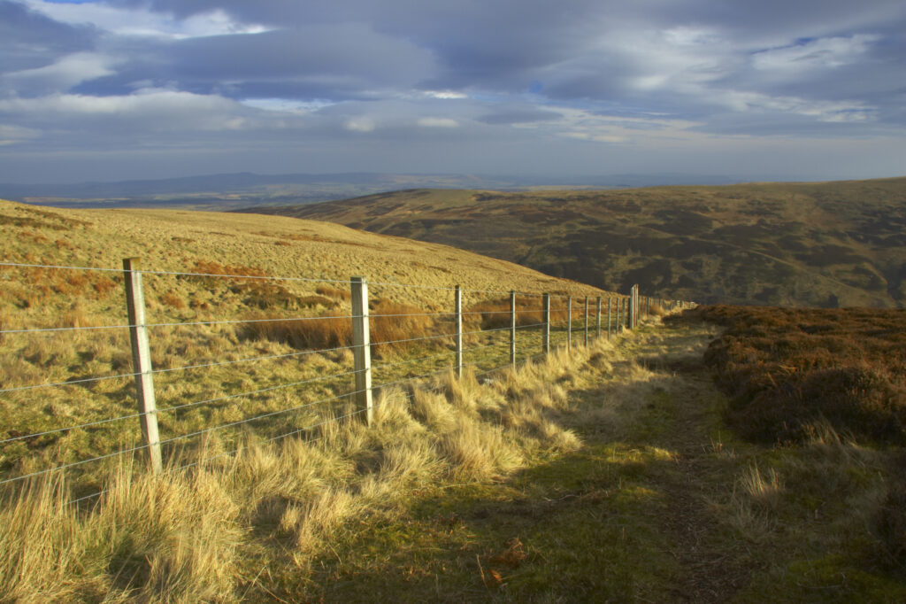 England, Northumberland, Northumberland National Park. Wire fence running by Snear Hill, high above the Harthope Valley.