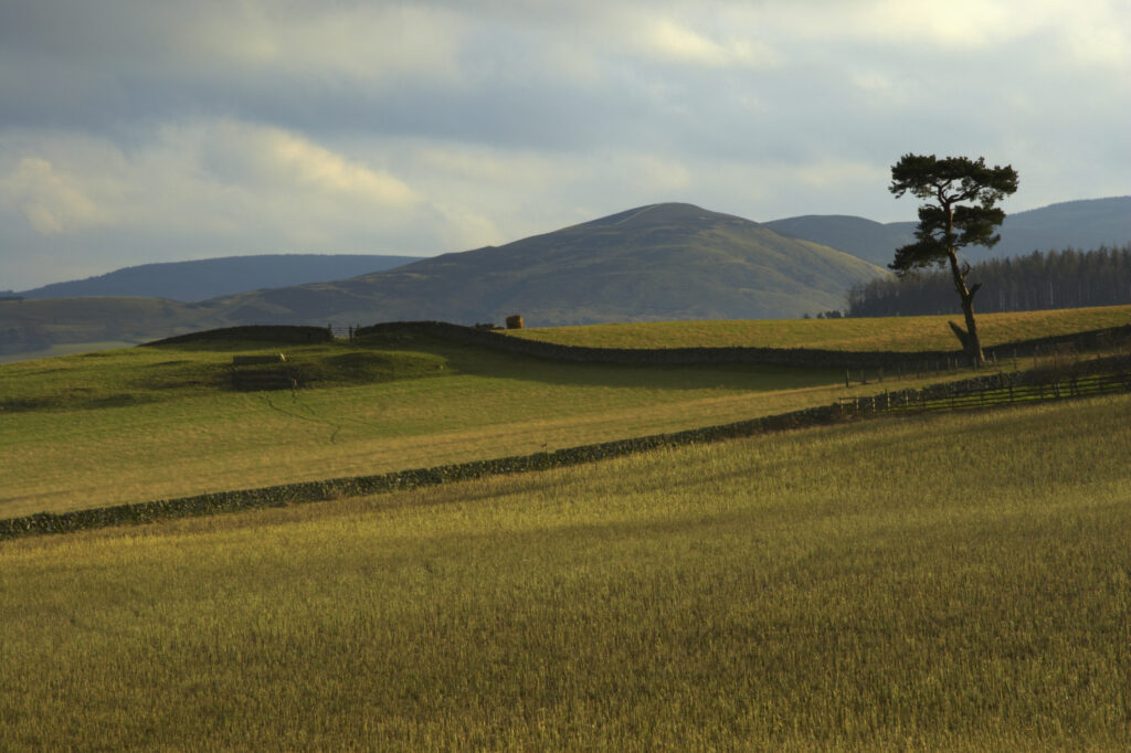 Scotland, Scottish Borders, Peebles. Fields, hills and tree near the town of Peebles in the Scottish Borders.