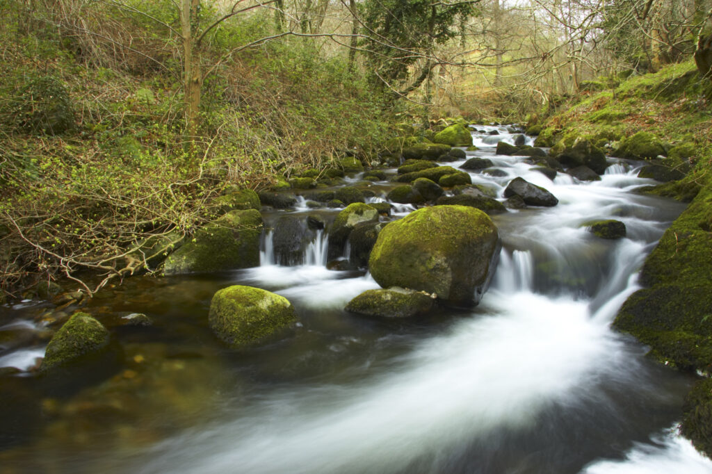 Wales, Caernarfonshire, Snowdonia National Park. The Afon Anaton river flowing through woodland near the Coedydd Aber National Nature Reserve which includes Aber Falls.