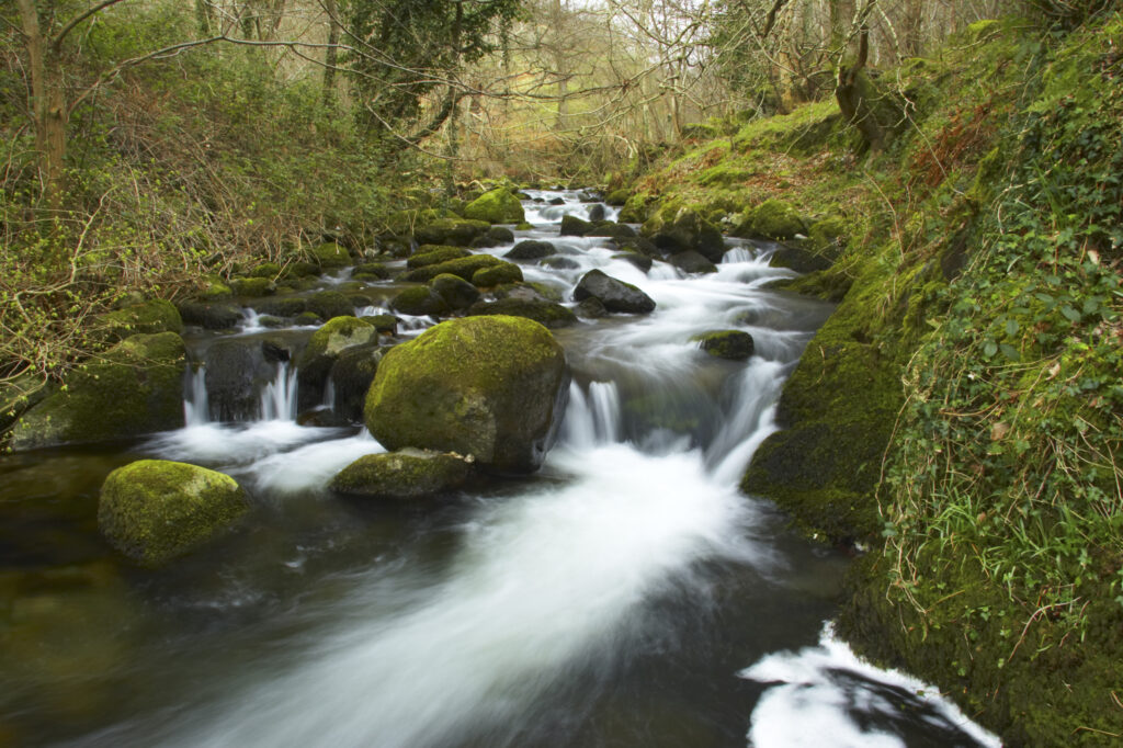 Wales, Caernarfonshire, Snowdonia National Park. The Afon Anaton river flowing through woodland near the Coedydd Aber National Nature Reserve which includes Aber Falls.