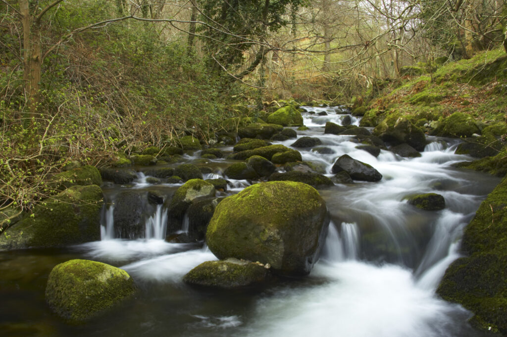 Wales, Caernarfonshire, Snowdonia National Park. The Afon Anaton river flowing through woodland near the Coedydd Aber National Nature Reserve which includes Aber Falls.
