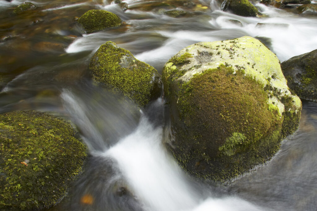 Wales, Caernarfonshire, Snowdonia National Park. The Afon Anaton river flowing through woodland near the Coedydd Aber National Nature Reserve which includes Aber Falls.