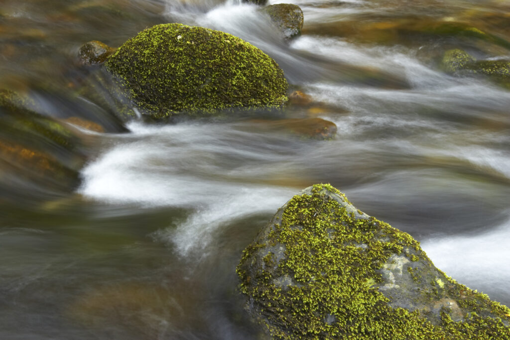 Wales, Caernarfonshire, Snowdonia National Park. The Afon Anaton river flowing through woodland near the Coedydd Aber National Nature Reserve which includes Aber Falls.