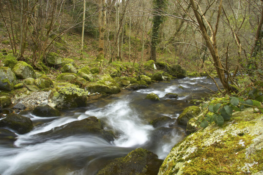 Wales, Caernarfonshire, Snowdonia National Park. The Afon Anaton river flowing through woodland near the Coedydd Aber National Nature Reserve which includes Aber Falls.