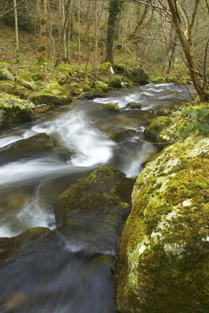 Wales, Caernarfonshire, Snowdonia National Park. The Afon Anaton river flowing through woodland near the Coedydd Aber National Nature Reserve which includes Aber Falls.