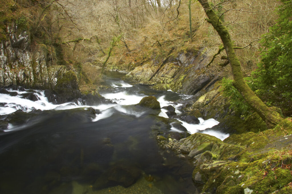 Wales, Caernarfonshire, Snowdonia National Park. Gorge downstream of the popular Swallow Falls, located near to the town of Betws-y-Coed.