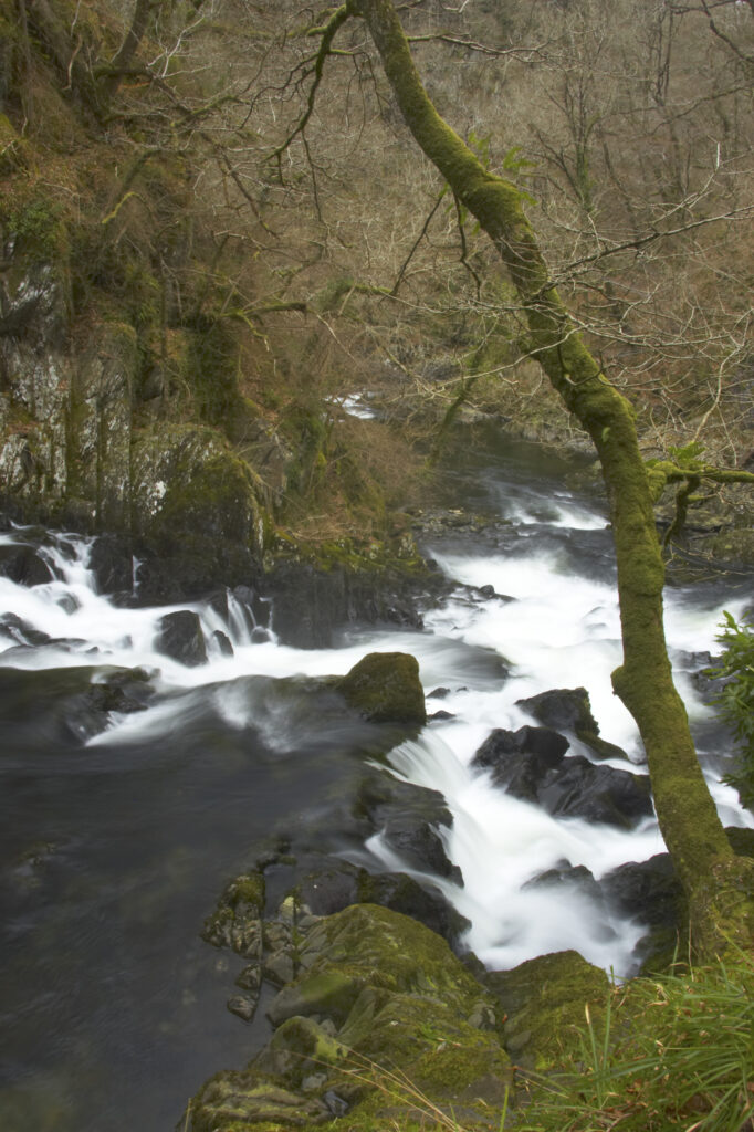 Wales, Caernarfonshire, Snowdonia National Park. Downstream of the popular Swallow Falls, located near to the town of Betws-y-Coed.