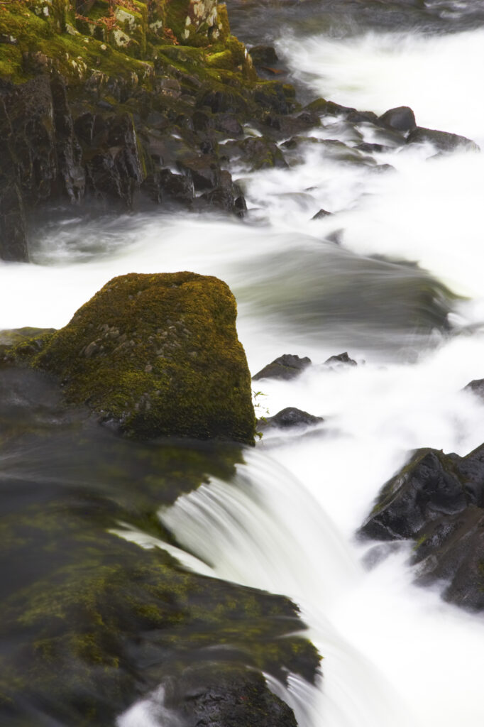 Wales, Caernarfonshire, Snowdonia National Park. Downstream of the popular Swallow Falls, located near to the town of Betws-y-Coed.