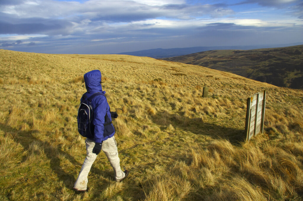 England, Northumberland, Northumberland National Park. Female hiker walking along Snear Hill in the Harthope Valley.