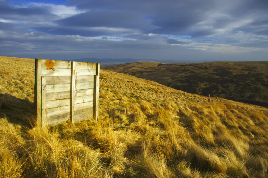 England, Northumberland, Northumberland National Park. Wind break for sheep, located on Snear Hill in the Harthope Valley.