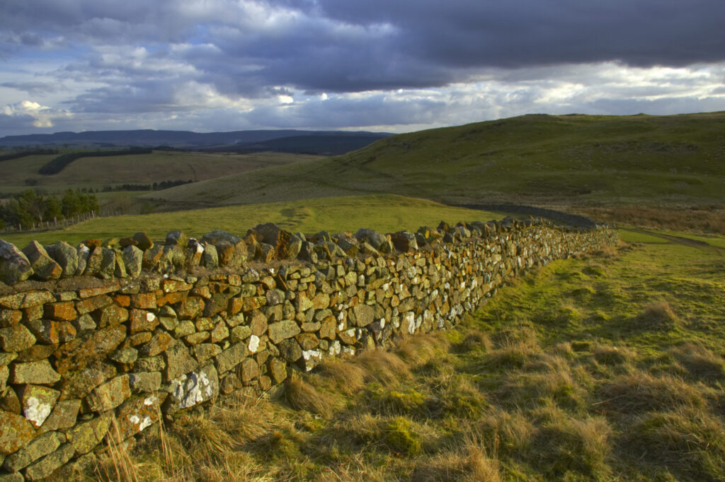 England, Northumberland, Northumberland National Park. Dry stone wall running alongside Clennell Steet, as it heads towards Alwinton and the Coquetdale Valley.