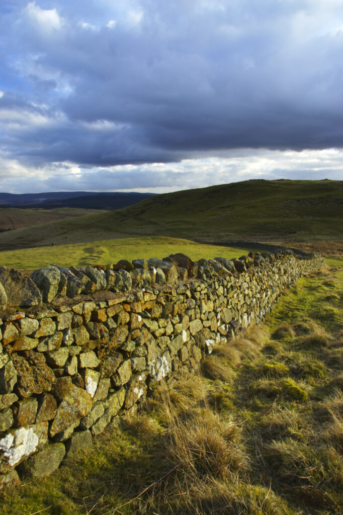 England, Northumberland, Northumberland National Park. Dry stone wall running alongside Clennell Steet, as it heads towards Alwinton and the Coquetdale Valley.