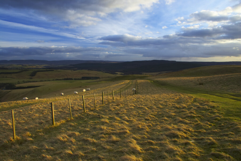 England, Northumberland, Northumberland National Park. A wire fencel running alongside the historic Clennell Steet route, as it heads towards Alwinton and the Coquetdale Valley.