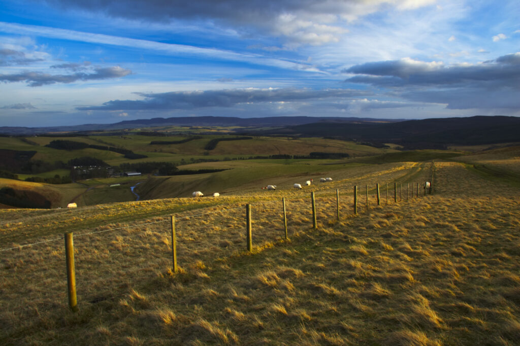 England, Northumberland, Northumberland National Park. A wire fencel running alongside the historic Clennell Steet route, as it heads towards Alwinton and the Coquetdale Valley.