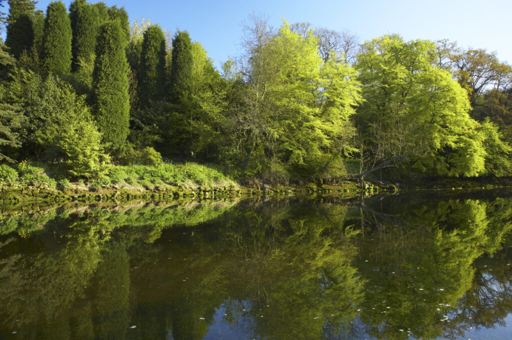 England, Northumberland, Warkworth. Spring foliage, reflected in the still waters of the River Coquet in Warkworth Village, located near the Northumberland Heritage Coast.