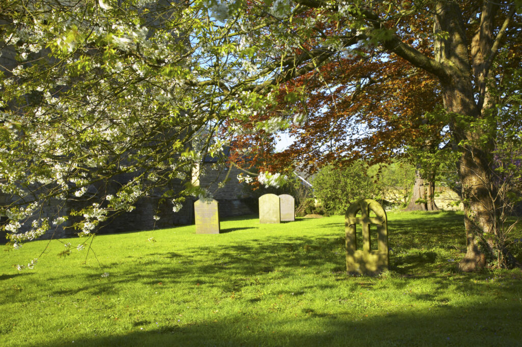 England, Northumberland, Warkworth. The grave yard of the church of St.Lawrence and the colours of spring foliage, in Warkworth Village, located near the Northumberland Heritage Coast.