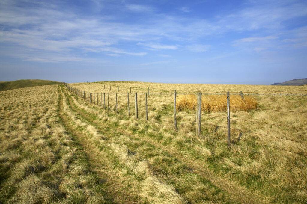Scotland, Scottish Borders, The Pennine Way. The route of the Pennine Way high level route near Kirk Yetholm, following the double wire fence indicating the English / Scottish border.