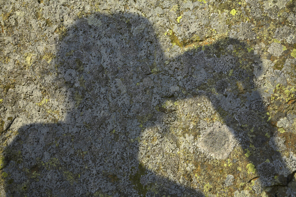 Scotland, Scottish Borders, The Pennine Way. Silhouette of a hiker enjoying a drink along the Pennine Way – A long distance track from England to Scotland.