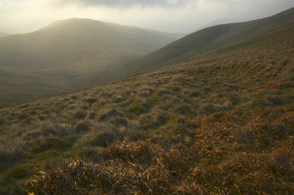 Scotland, Scottish Borders, The Pennine Way. Mist begins to shroud the rolling hills of the Scottish Uplands, viewed from the low level route of the Pennine Way near Kirk Yetholm.