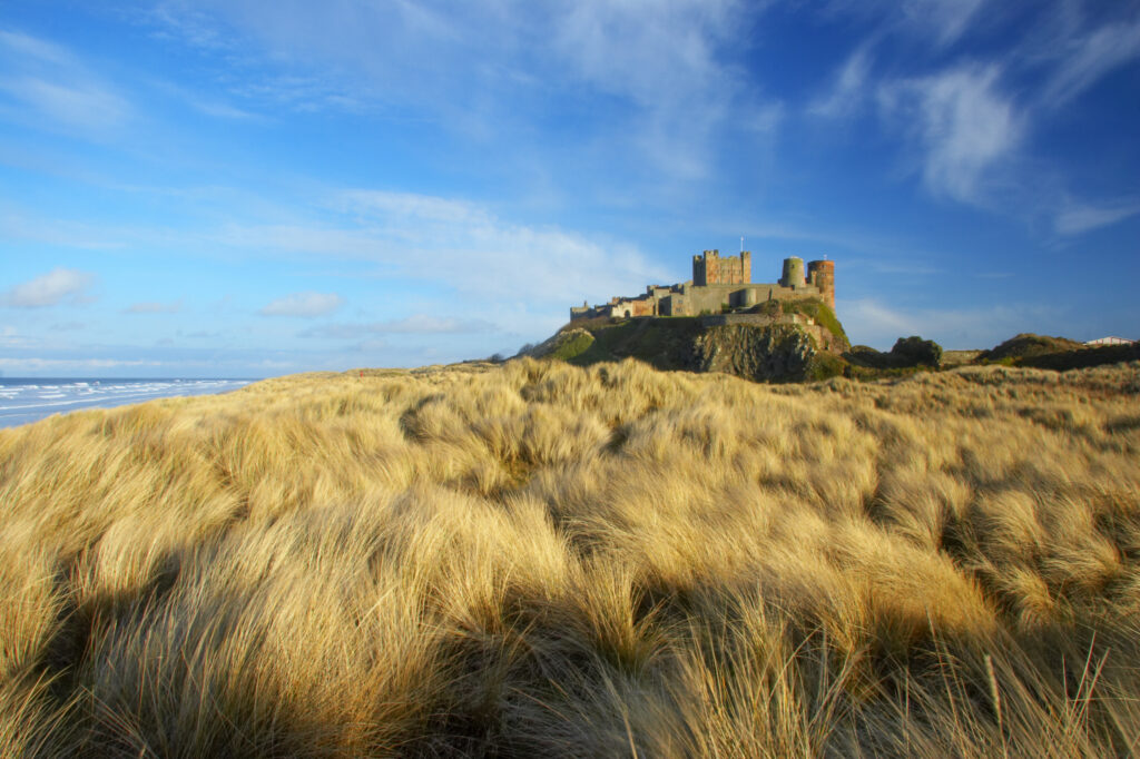 England Northumberland Bamburgh Castle. Sand dunes and vegetation near Bamburgh, overlooked by Bamburgh Castle