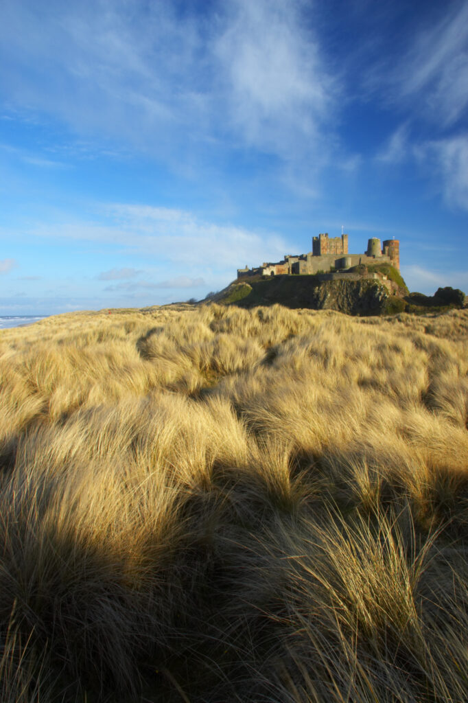 England Northumberland Bamburgh Castle. Sand dunes and vegetation near Bamburgh, overlooked by Bamburgh Castle