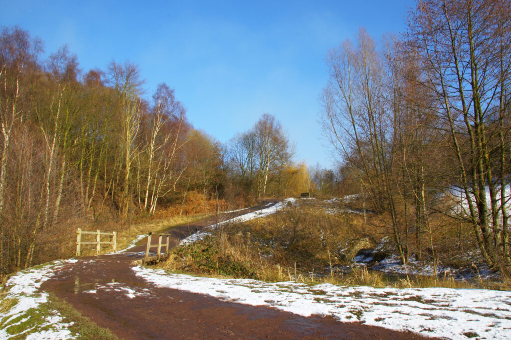 ENGLAND West Midlands Baggeridge Country Park A winter scene of a popular walking path running through the country park.