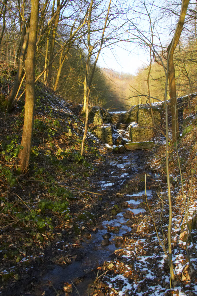 ENGLAND West Midlands Baggeridge Country Park A winter scene of a small stream near the Wishing Pool in the country park.