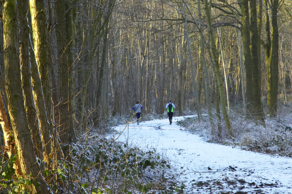 ENGLAND West Midlands Baggeridge Country Park Joggers running down a popular walking path running through the country park.