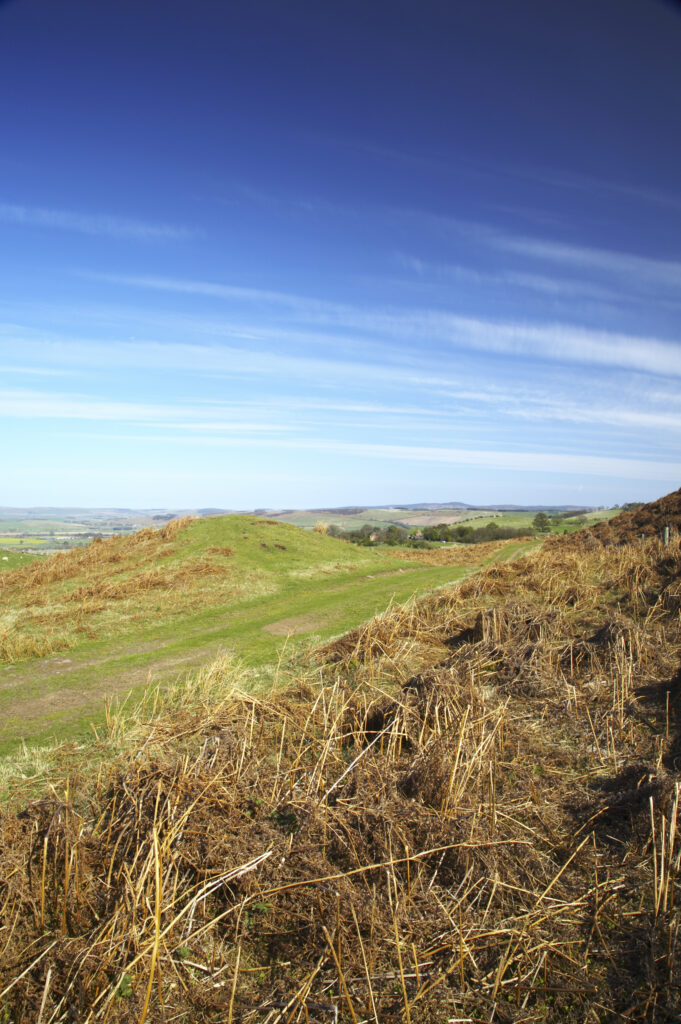England, Northumberland, Northumberland National Park. Public footpath running through typical Northumberland scenery near Wooler