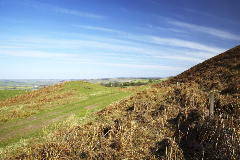 England, Northumberland, Northumberland National Park. Public footpath running through typical Northumberland scenery near Wooler