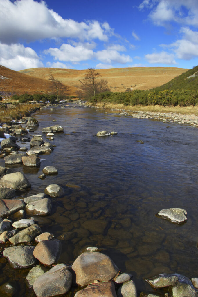England, Northumberland, Northumberland National Park. A winter scene with the remains of snow on the river Breamish, running through the Cheviots and the Breamish valley near the village of Ingram situated within the Northumberland National Park in the northen england county of Northumberland about 8km east of the border with Scotland.