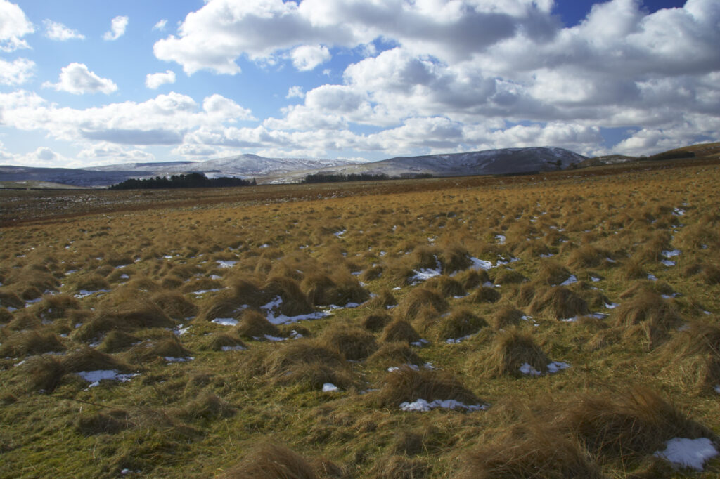 England, Northumberland, Northumberland National Park. The open landscape of the Breamish Valley at the foothills of the Cheviots near the village of Ingram situated within the Northumberland National Park in the northen england county of Northumberland about 8km east of the border with Scotland.