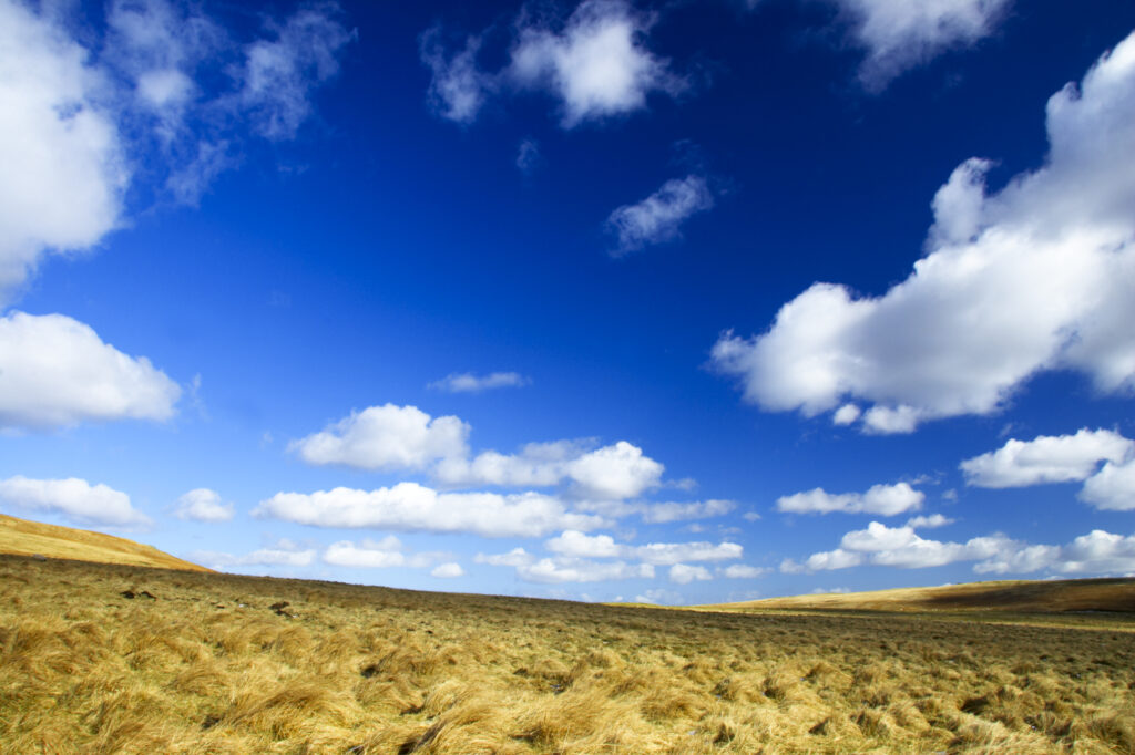 England, Northumberland, Northumberland National Park. The open landscape of the Breamish Valley at the foothills of the Cheviots near the village of Ingram situated within the Northumberland National Park in the northen england county of Northumberland about 8km east of the border with Scotland.