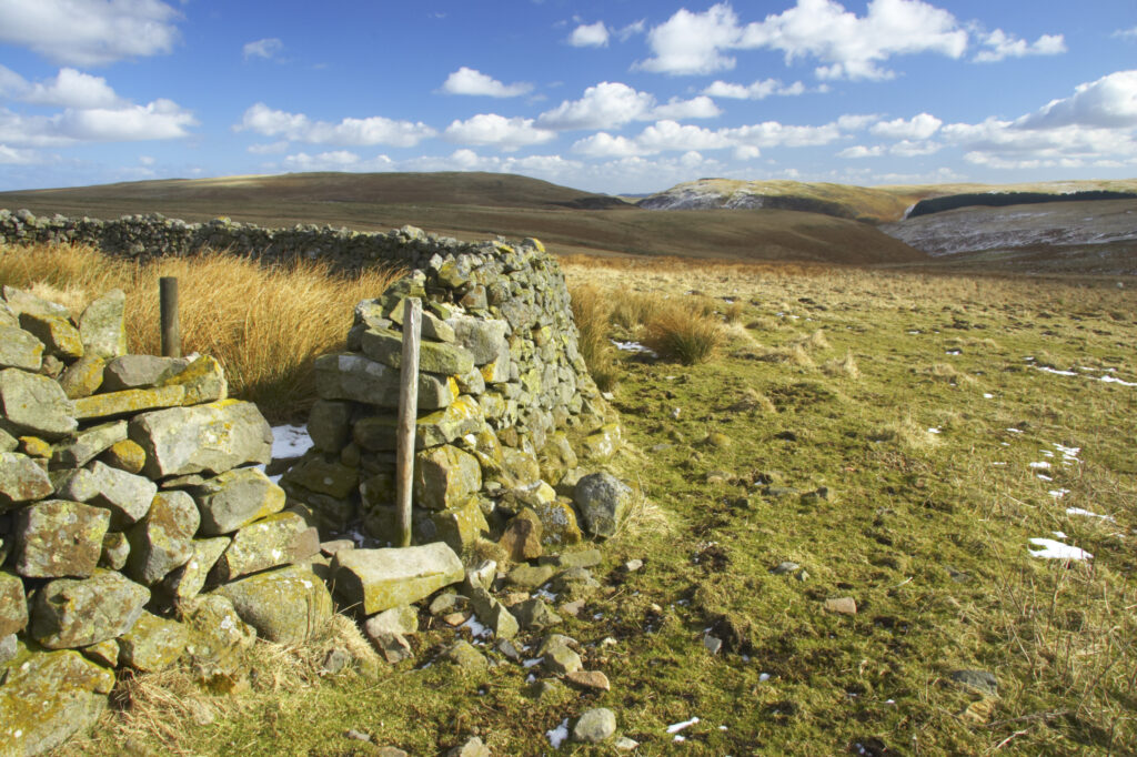 England, Northumberland, Northumberland National Park. A winter scene with a cattle shelter at the foothills of the Cheviots and the Breamish valley near the village of Ingram situated within the Northumberland National Park in the northen england county of Northumberland about 8km east of the border with Scotland.
