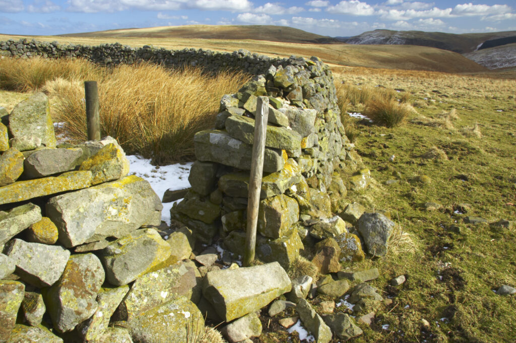 England, Northumberland, Northumberland National Park. A winter scene with a cattle shelter at the foothills of the Cheviots and the Breamish valley near the village of Ingram situated within the Northumberland National Park in the northen england county of Northumberland about 8km east of the border with Scotland.