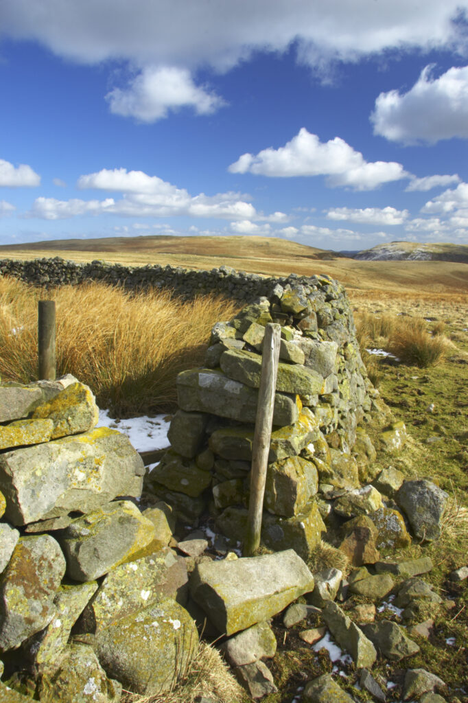 England, Northumberland, Northumberland National Park. A winter scene with a cattle shelter at the foothills of the Cheviots and the Breamish valley near the village of Ingram situated within the Northumberland National Park in the northen england county of Northumberland about 8km east of the border with Scotland.