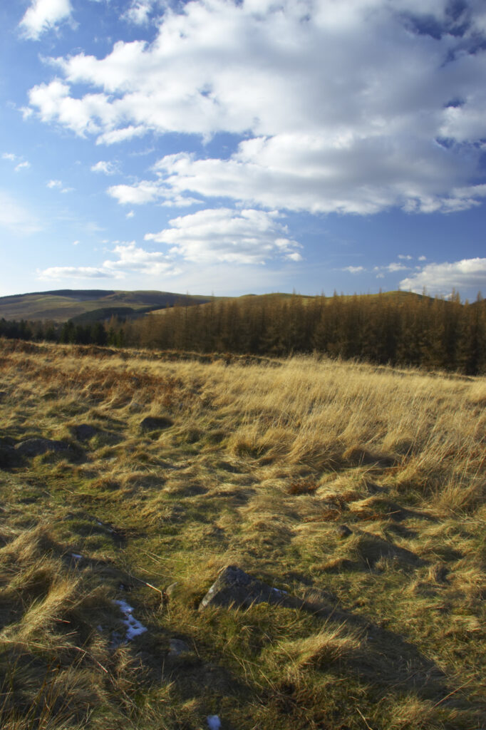 England, Northumberland, Northumberland National Park. The typical landscape encountered on the St Cuthberts way long distance track near Hethpool Mill as the track continues from the start of the College Valley to the town of wooler - the self proclaimed gateway to the cheviots and the Northumberland National Park